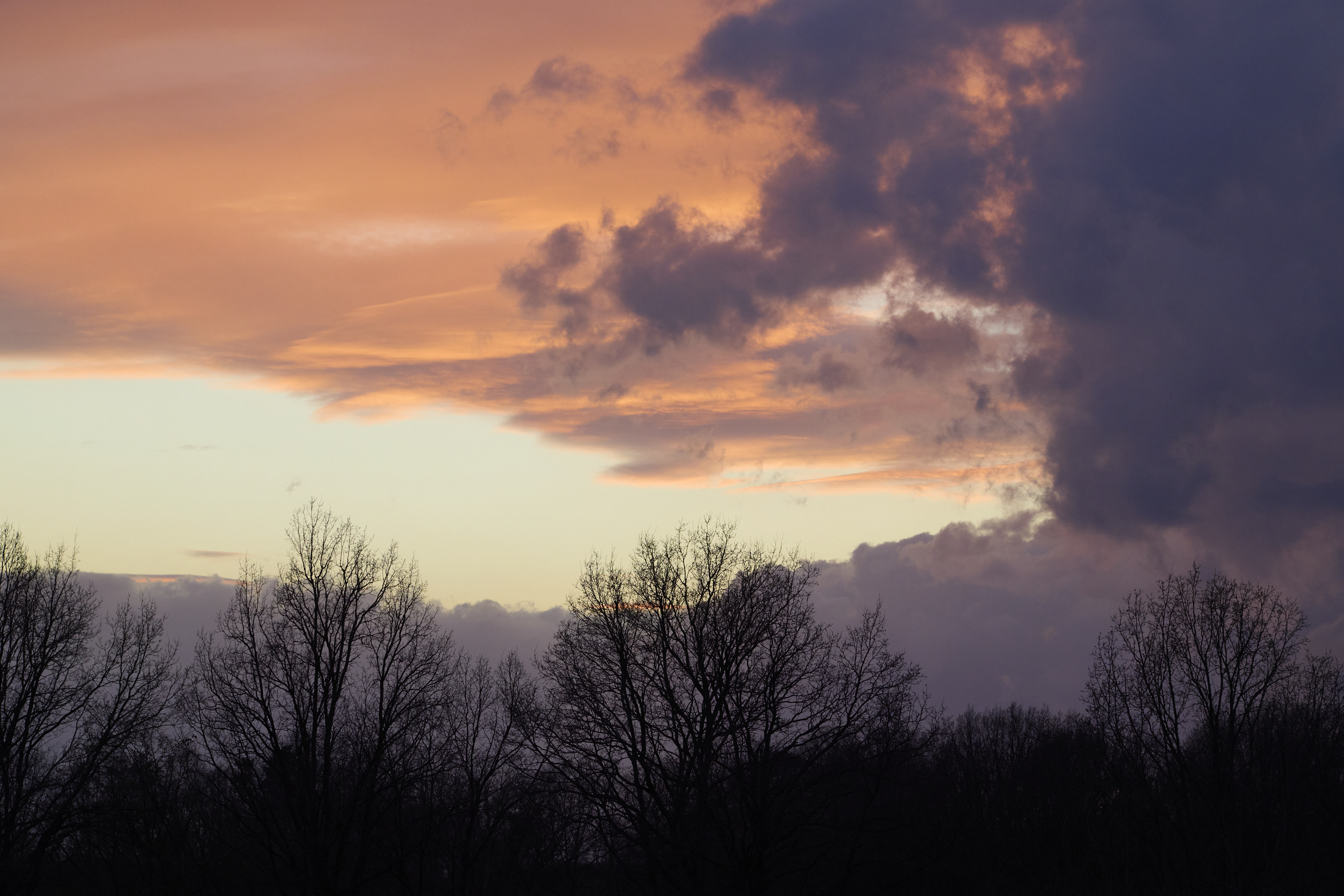 Orange and purple sunset clouds above silhouetted trees